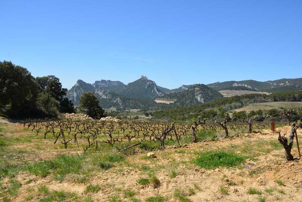 Mas De Carabelle Bed and Breakfast La Roque-Alric Buitenkant foto