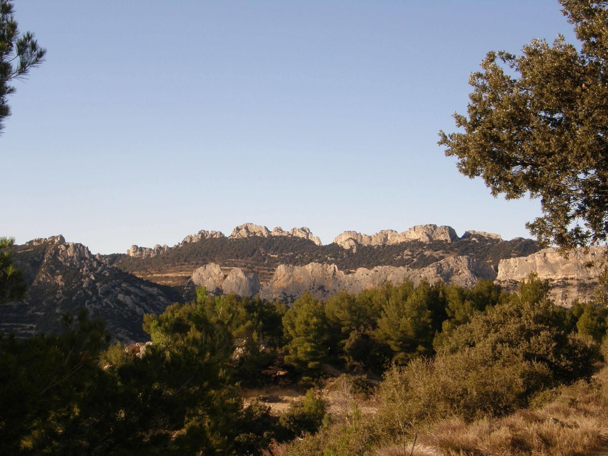Mas De Carabelle Bed and Breakfast La Roque-Alric Buitenkant foto